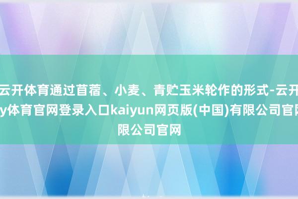 云开体育通过苜蓿、小麦、青贮玉米轮作的形式-云开ky体育官网登录入口kaiyun网页版(中国)有限公司官网