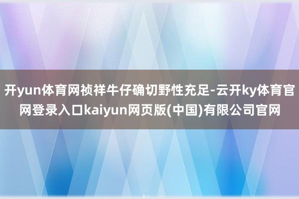 开yun体育网祯祥牛仔确切野性充足-云开ky体育官网登录入口kaiyun网页版(中国)有限公司官网