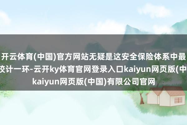 开云体育(中国)官方网站无疑是这安全保险体系中最基础、却又最醒狡计一环-云开ky体育官网登录入口kaiyun网页版(中国)有限公司官网